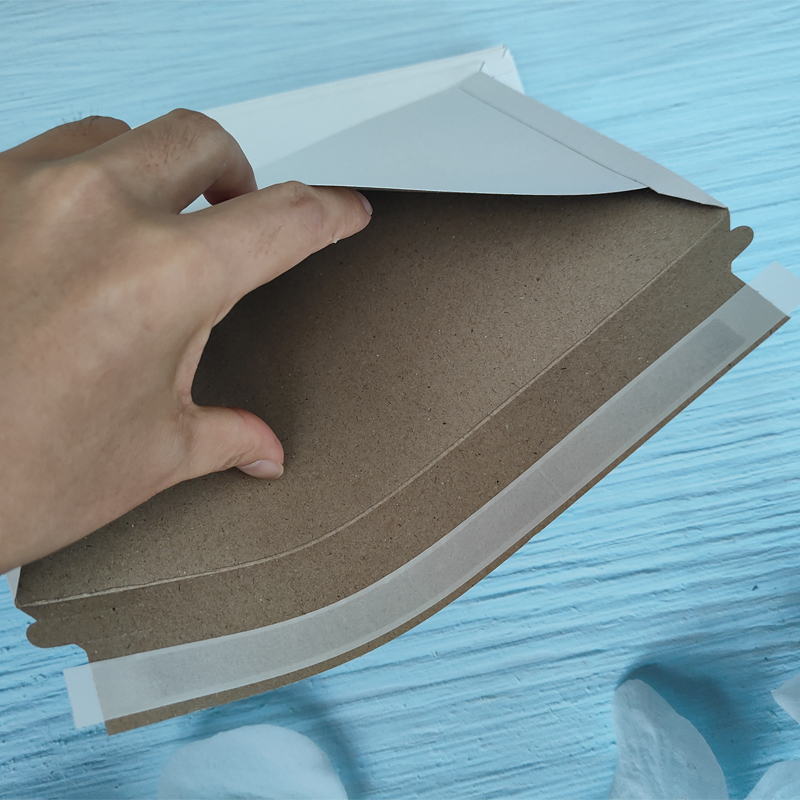 25Pcs White Rigid Mailers Stay - Letter Envelope Kraft 评论和价格